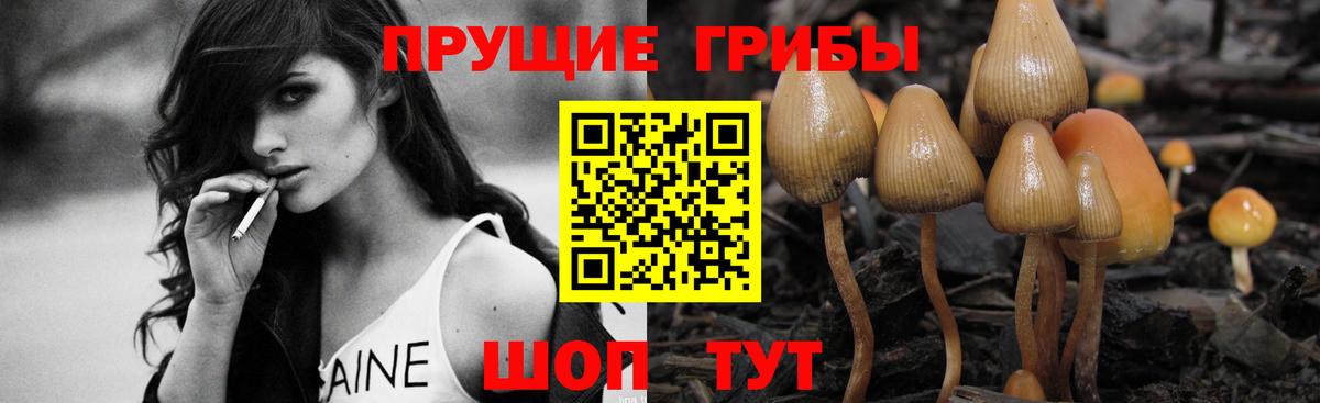 Долгопрудный  Псилоцибиновые грибы ЛСД  Вход с VPN  Галлюциногенные грибы прущие грибы 